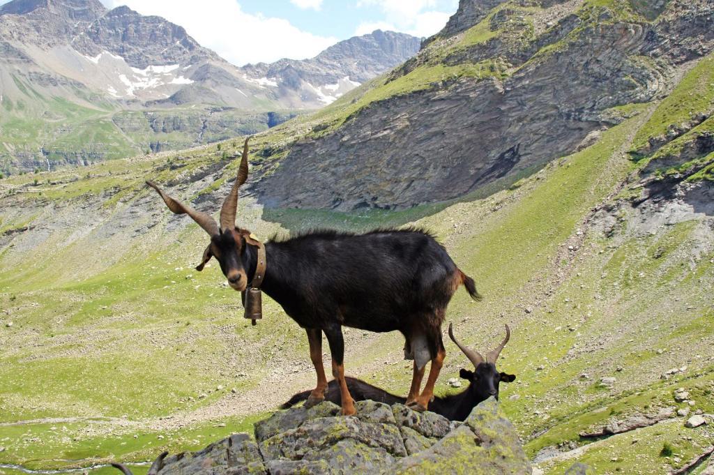 Le Relais Des Vaudois Freissinieres Bagian luar foto